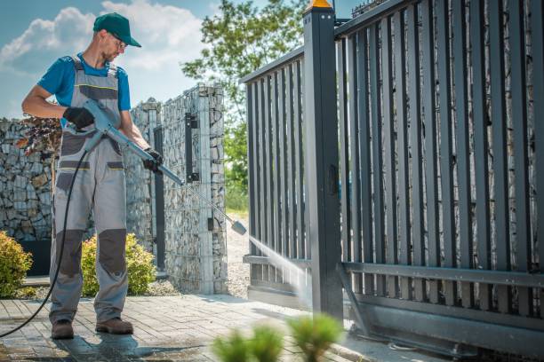 Best Animal Enclosure Cleaning  in Forest View, IL