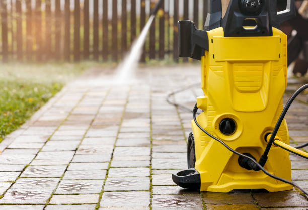 Best Rust Removal  in Forest View, IL